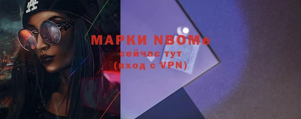 прущий лед Богданович