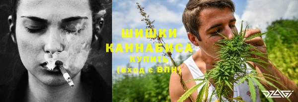 прущий лед Богданович